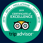 tripadvisor 2019 Certificate of Excellence logo