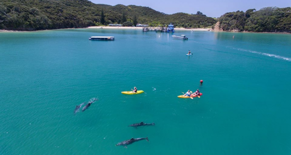 October School holidays in the Bay of Islands - Teaser Image